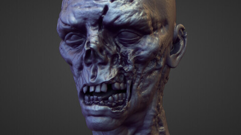 HEAD34 high poly sculpt