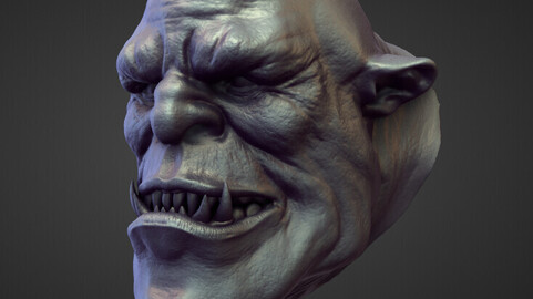 HEAD41 high poly sculpt