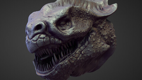 HEAD43 high poly sculpt