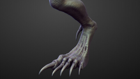 LEG4 high poly sculpt