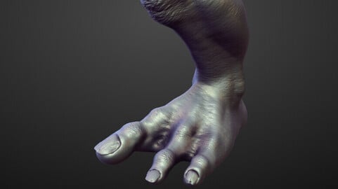 LEG7 high poly sculpt