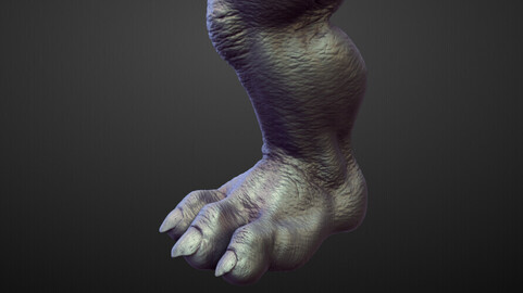 LEG8 high poly sculpt