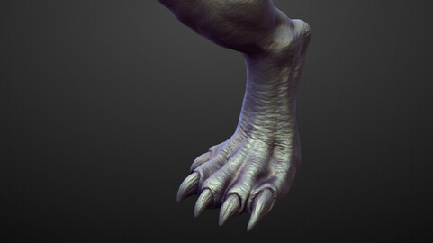 LEG17 high poly sculpt