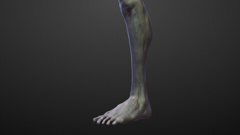 LEG21 high poly sculpt