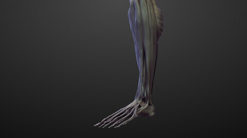 LEG23 high poly sculpt