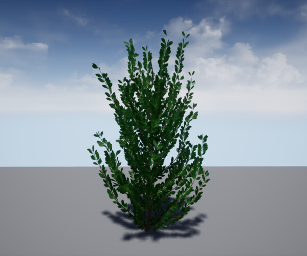 product thumbnail 11