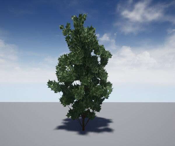 product thumbnail 13