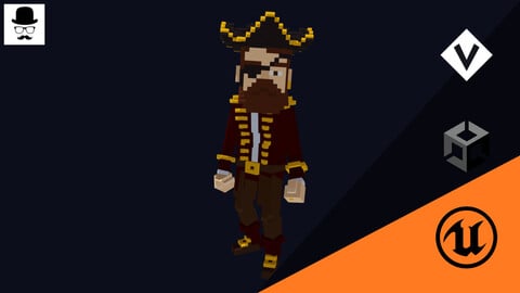 Pirate Character - Voxel Model