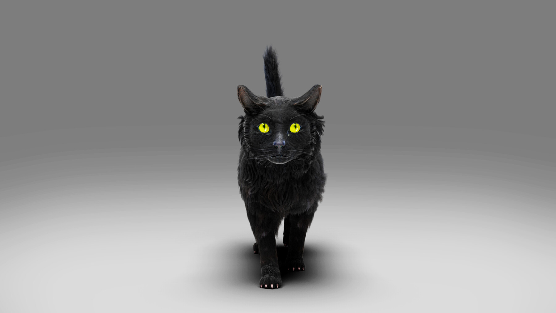 ArtStation - Fur Cat Black Rigged and Animated in Blender | Game Assets