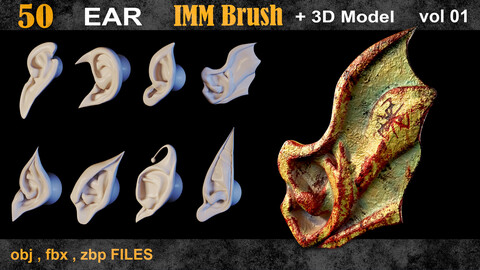 50 Ear IMM Brush + 3d model  vol 01