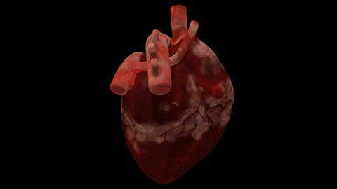 HUMAN HEART LOW POLY GAME READY