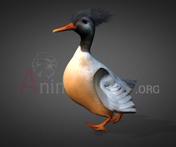 ArtStation - Duck-3-Walk | Game Assets