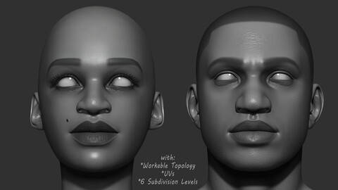 Realistic Bust Basemeshes
