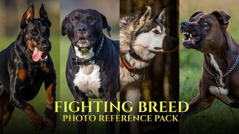 Fighting Breed- Photo Reference Pack For Artists 296 JPEGs