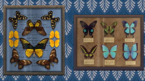 Butterfly & Moth & Scorpion Insect Specimen Collection (35 Brushes)