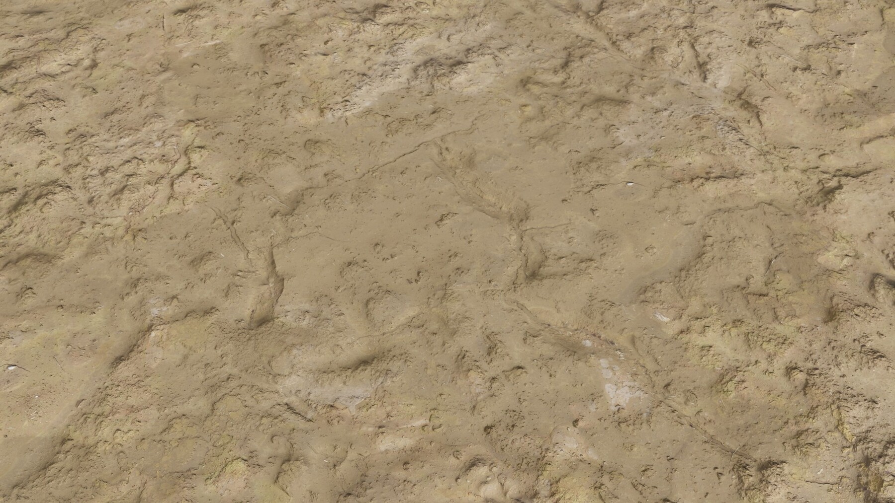 ArtStation Wet Sand PBR Texture Game Assets