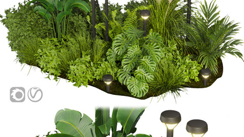 Collection plant vol 409 - leaf - outdoor - garden - blender - 3dmax - cinema 4d