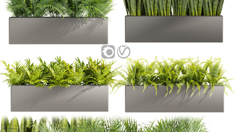 Collection plant vol 410 - indoor - sansveria - fern - monstera - palm - blender - 3dmax - cinema 4d