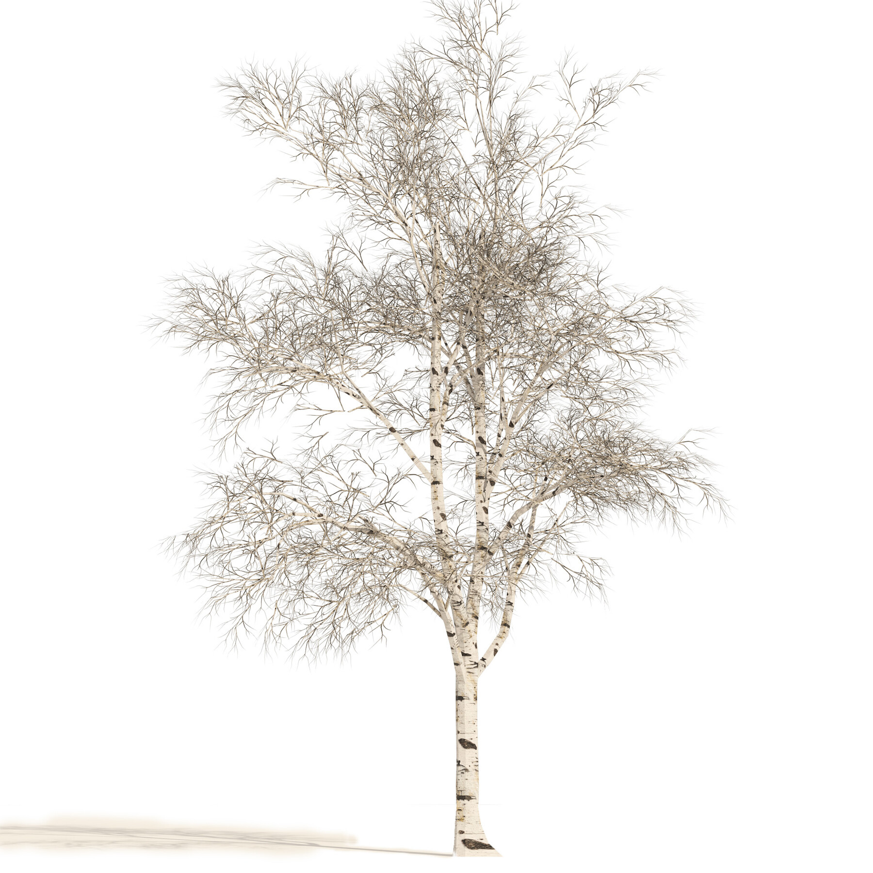 ArtStation Winter White Birch Tree Forest Game Assets File