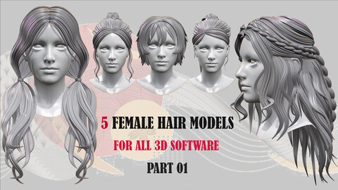 5 Hair Models ( All 3d Software )