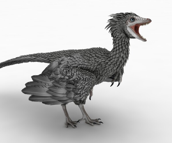 ArtStation Archaeopteryx Game Assets