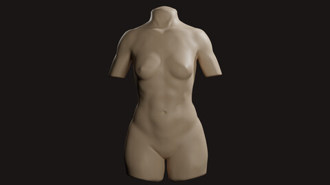 Female torso 3D model for Procreate obj