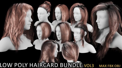 Low Poly game ready haircard bundle vol3 (max fbx obj)