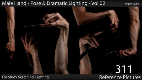 Male Hand - Pose & Lighting - Vol 02 - Reference Pictures