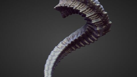 HORN6 high poly sculpt