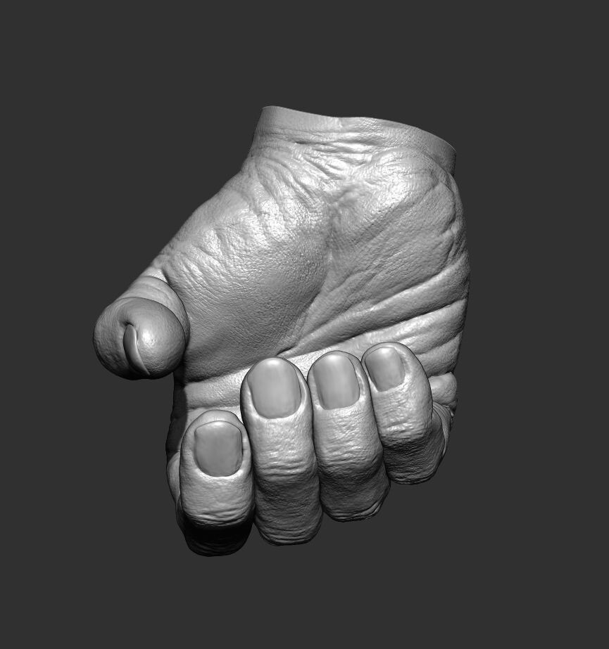 3D file Male Hand Sculpt in 2 poses・3D print design to download