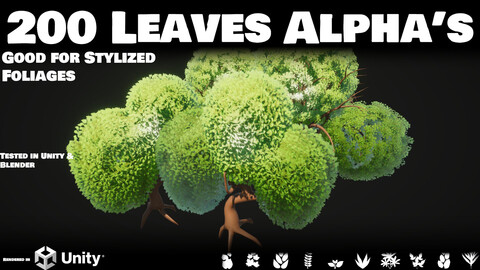 200 Leaf Alpha Pack