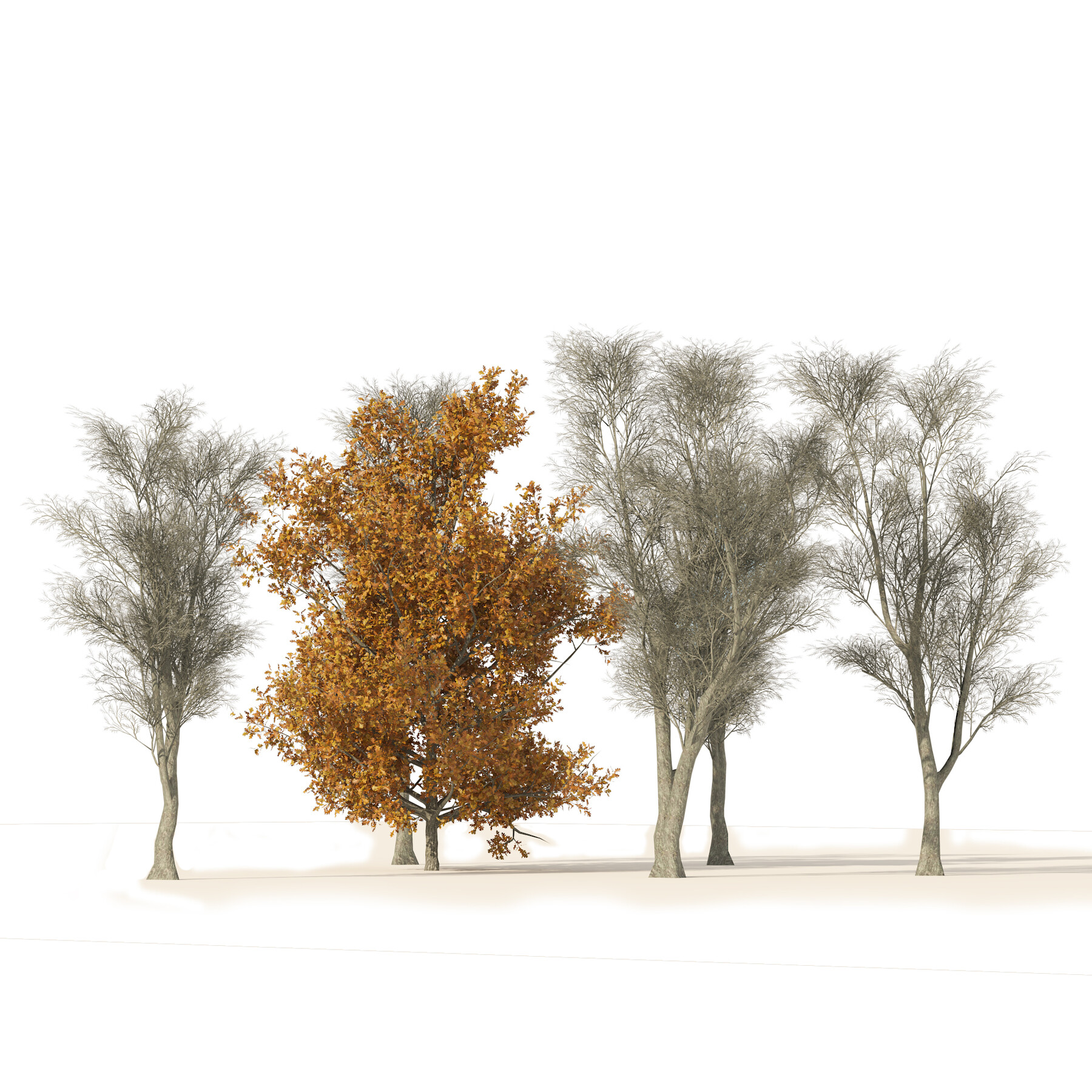 ArtStation - winter and fall oak trees | Resources