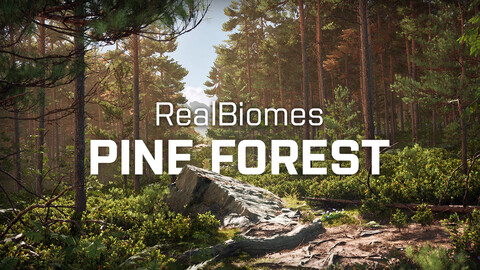 RealBiomes Scots Pine Forest Biome | Complete Environment for UE4/5 - Next-Gen Cliffs, Rocks, Trees, Bushes and Landscape