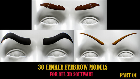 30 Women Eyebrow Models ( All 3d Software )