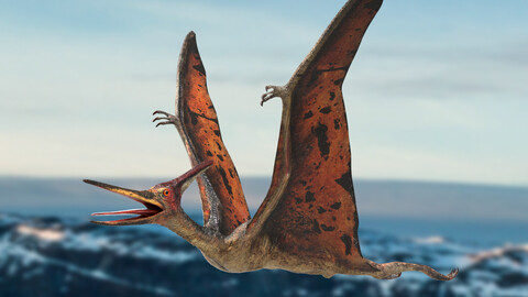 Pteranodon (Rigged) 3D model