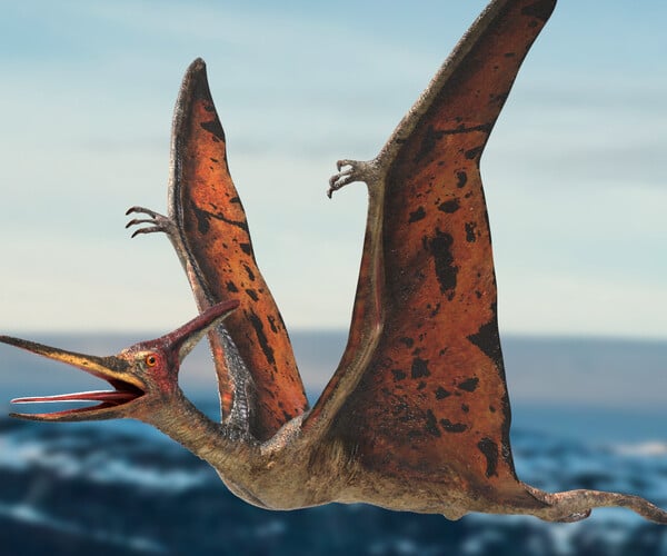 ArtStation - Pteranodon (Rigged) 3D model | Resources