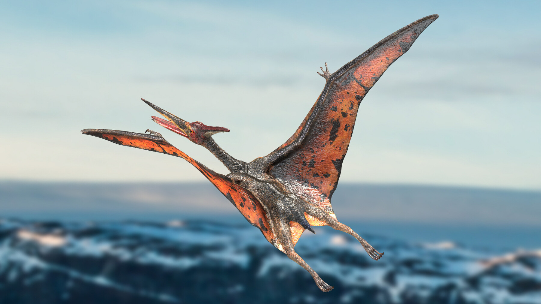 Pteranodon pterosaur white rigged 3D - TurboSquid 1479528