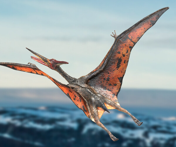 ArtStation - Pteranodon (Rigged) 3D model | Resources