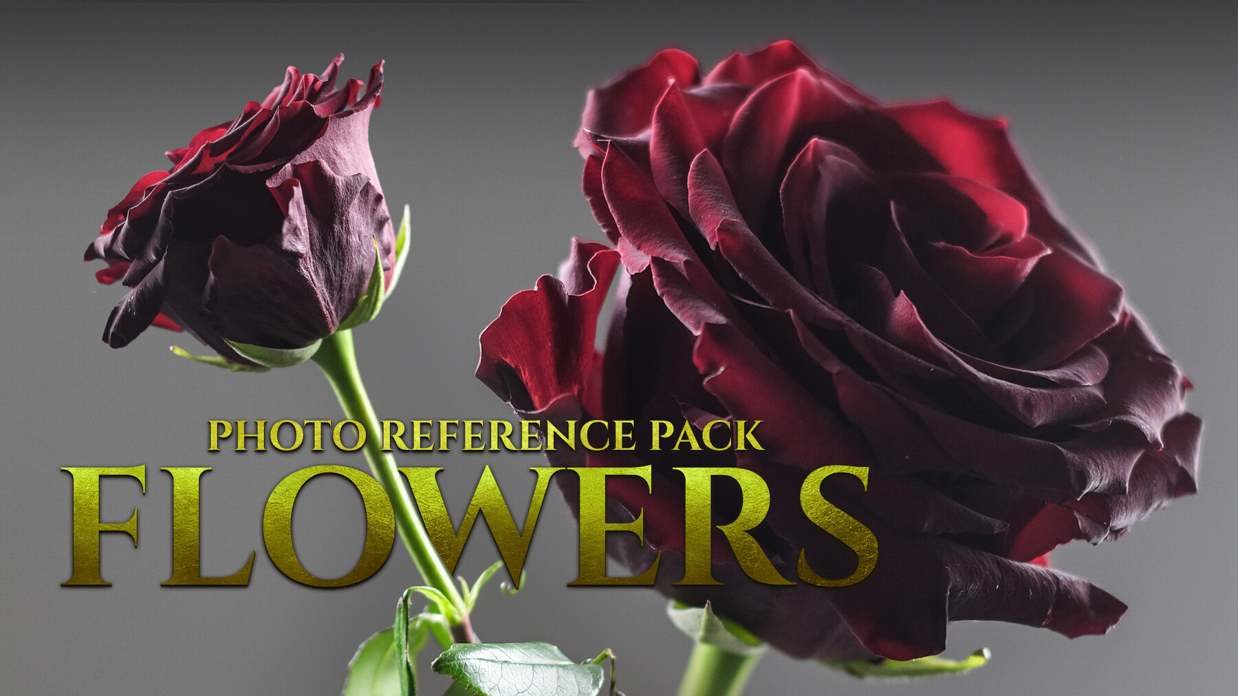 ArtStation A FlowersPhoto Reference Pack For Artists 1270 JPEGs
