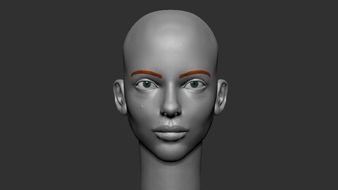 Female head ZBrushCore project file