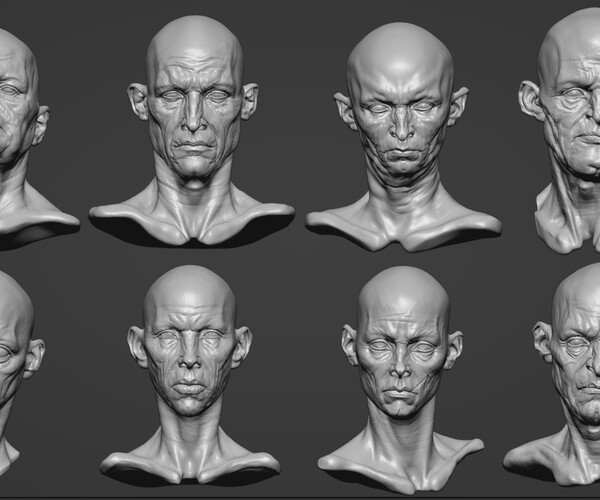 ArtStation - Heads Bundle 1 - 8 Unique Character Portraits | Resources