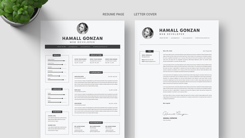 CV TEMPLATE Resume Word. Professional Resume Template. Minimalist Executive.