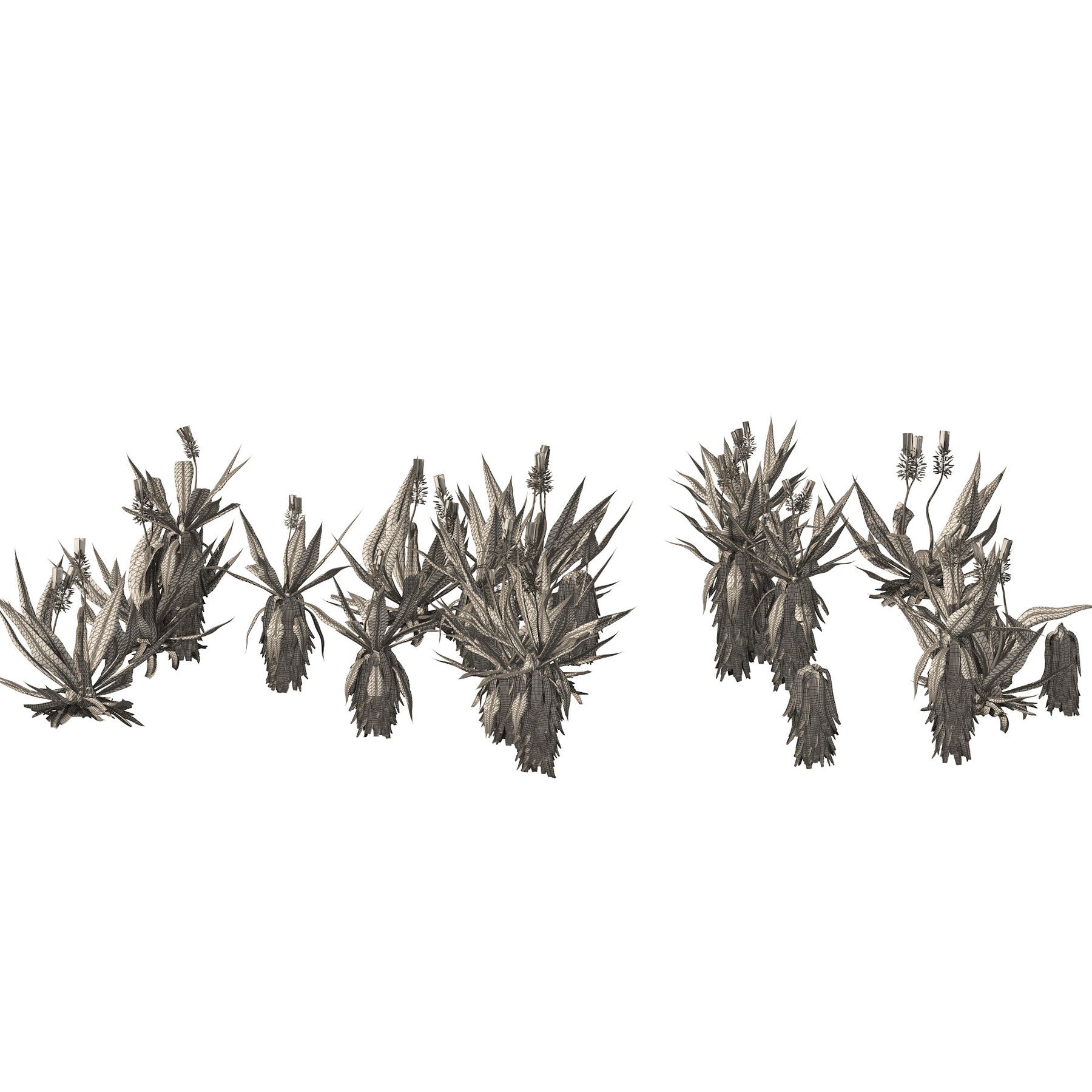 ArtStation Aloe Vera flowers cluster Resources