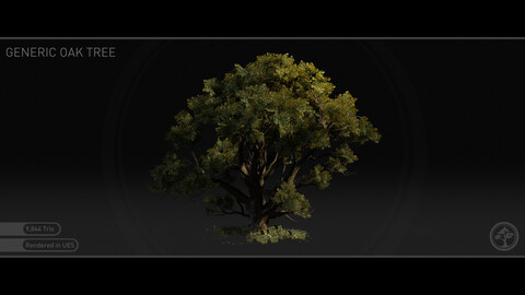Generic Oak Tree
