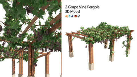 Grape Vine Pergola