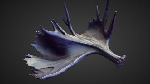 HORN20 high poly sculpt