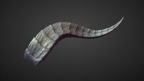 HORN27 high poly sculpt