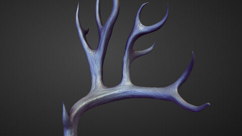 HORN31 high poly sculpt