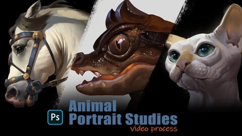 Animal Portrait Studies
