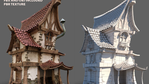 Medieval/Fantasy House